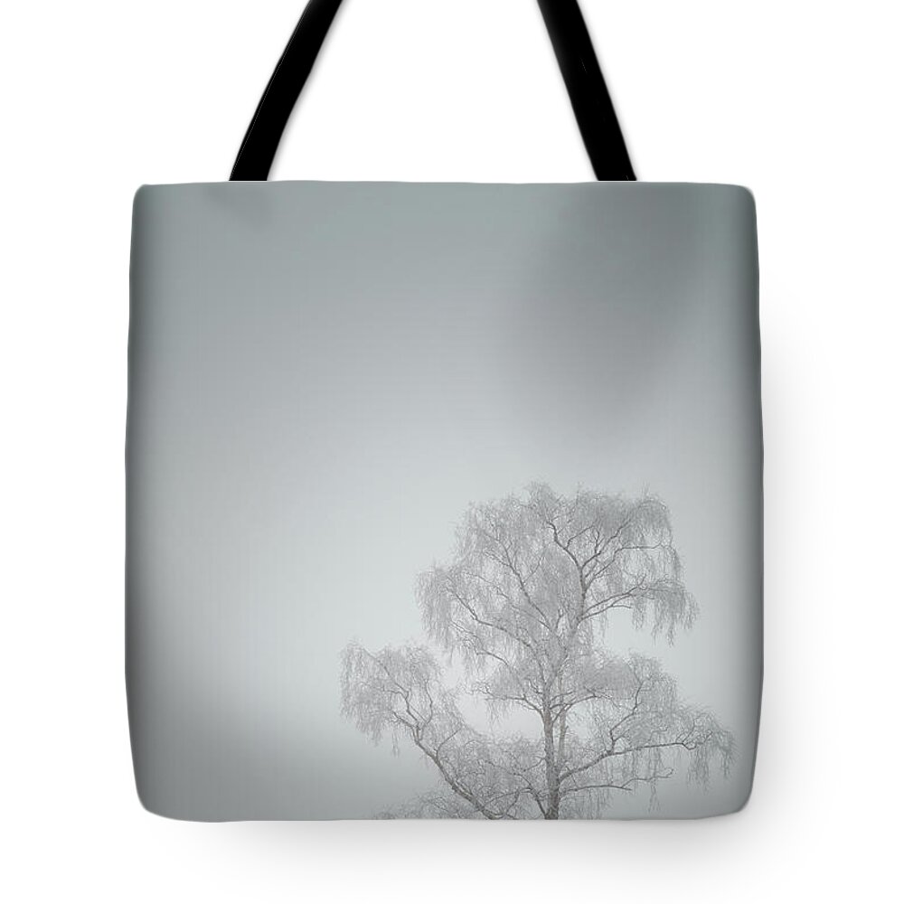 Bare Tote Bag featuring the photograph Lone Tree in Winter by Andy Astbury