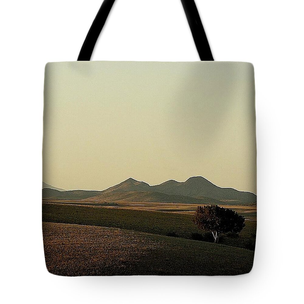Lone Tree Late Afternoon Prescott Valley Arizona 2000 Tote Bag featuring the photograph Lone tree late afternoon Prescott Valley Arizona 2000 by David Lee Guss