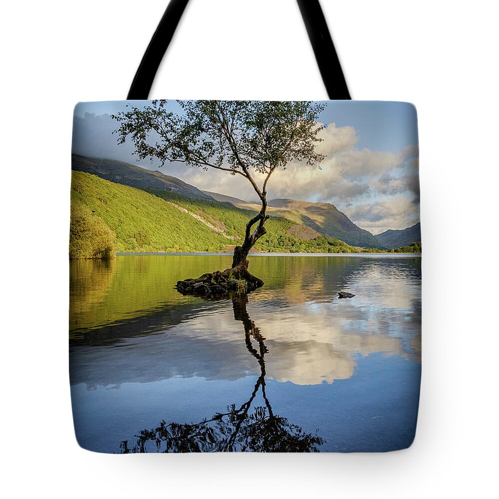 Gwynedd Tote Bag featuring the photograph Lone Tree, Llyn Padarn by Peter OReilly