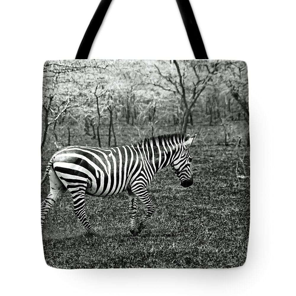 Uganda Tote Bag featuring the photograph Lone Zebra by Michael Cinnamond