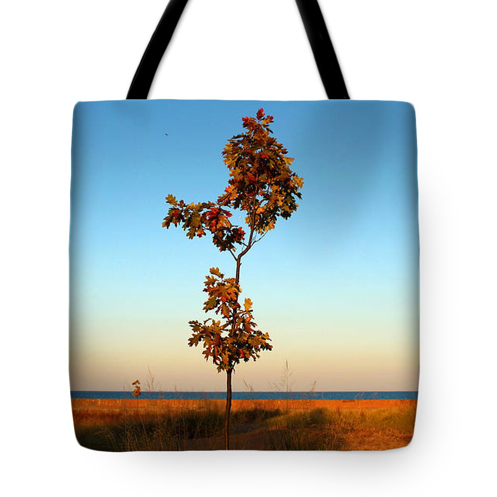 Tree Tote Bag featuring the photograph Loneliness by Milena Ilieva