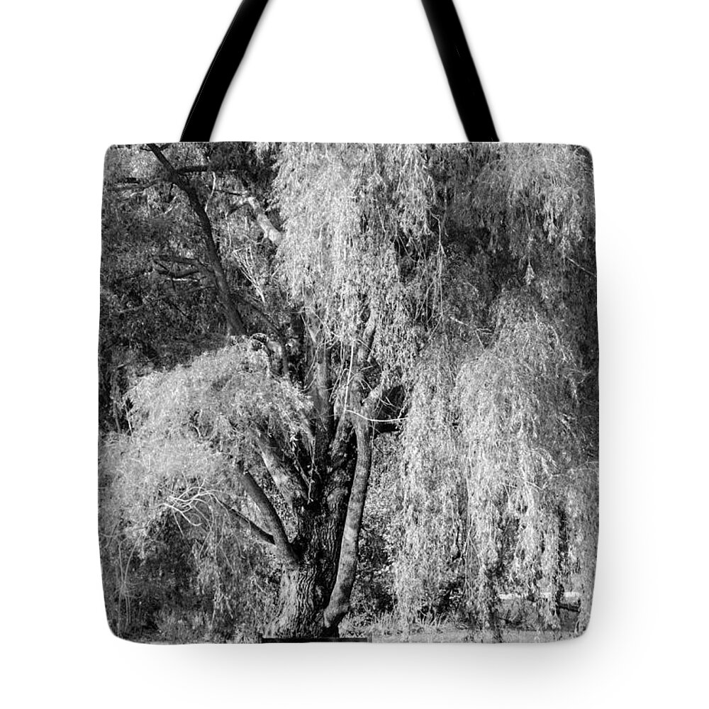 Cleveland Tote Bag featuring the photograph Lonely Dreams by Stewart Helberg