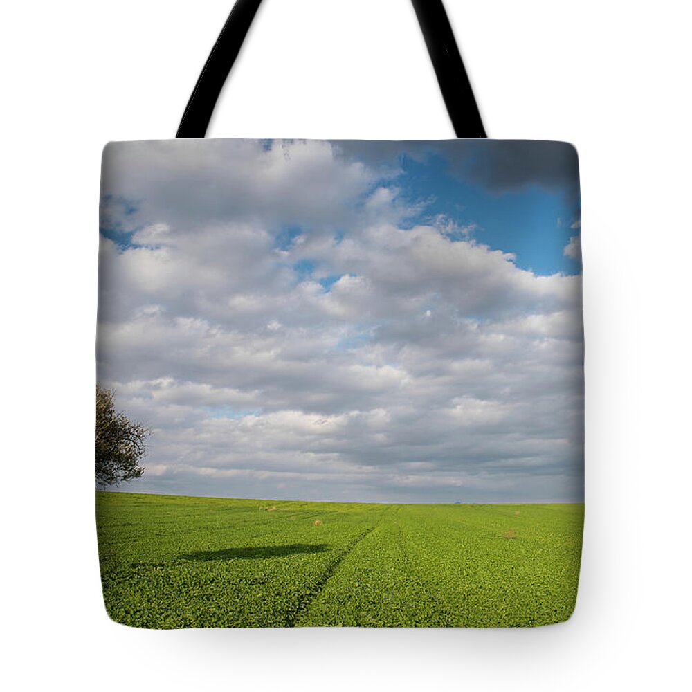 Olive Tree Tote Bag featuring the photograph Lonely Olive tree in a green field and moving clouds by Michalakis Ppalis