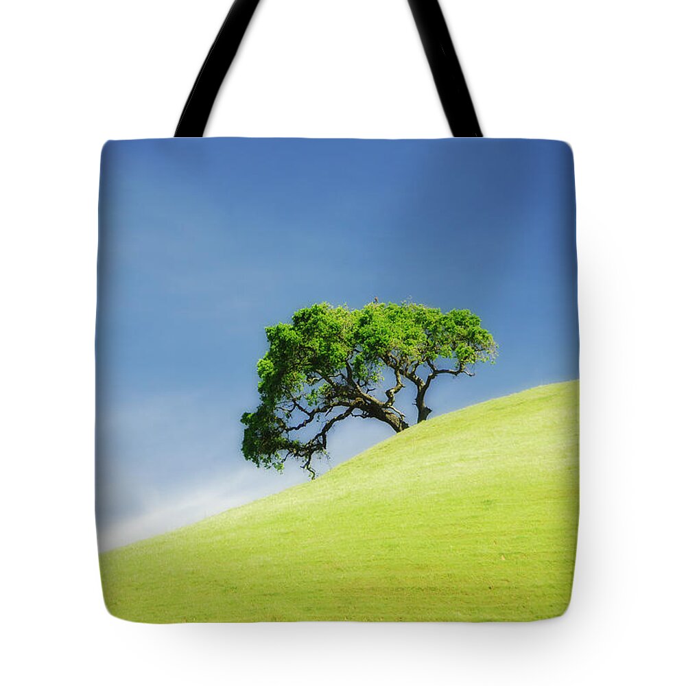 Castle Rock Park Tote Bag featuring the photograph Lonely Summer by Donna Blackhall