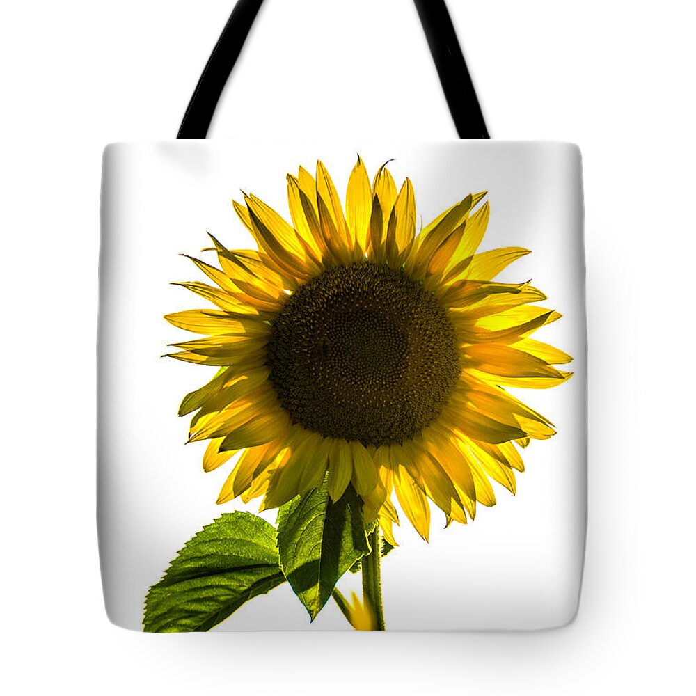 Sunflower Tote Bag featuring the photograph Lonely Sunflower by Wolfgang Stocker