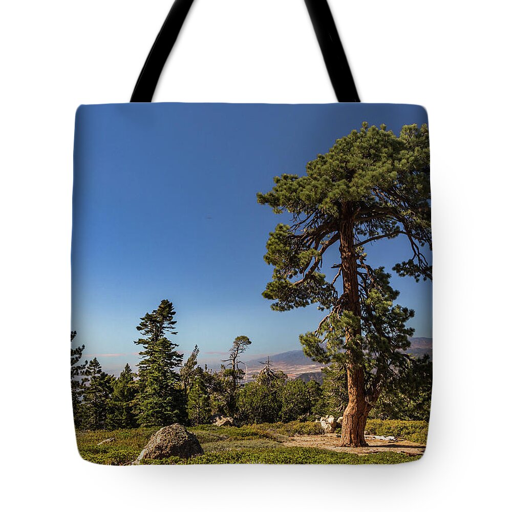 Socal Tote Bag featuring the photograph Lonely Tree by Ed Clark