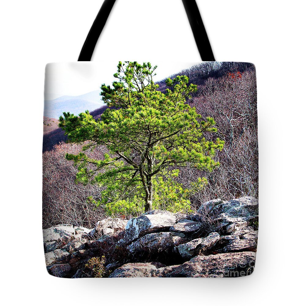 Lone Tote Bag featuring the painting Lonely Tree II by Rebecca Davis
