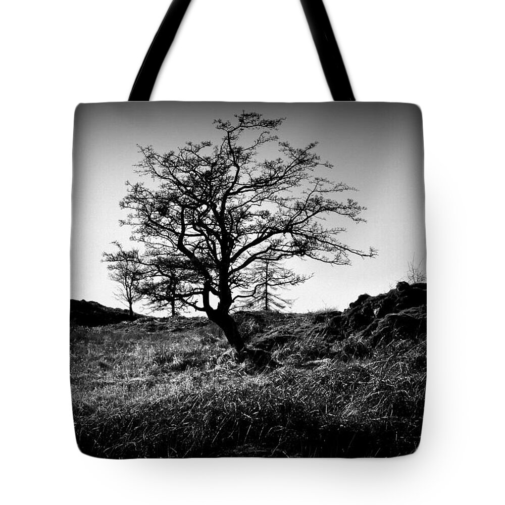 Tree Tote Bag featuring the photograph Lonely tree by Lukasz Ryszka