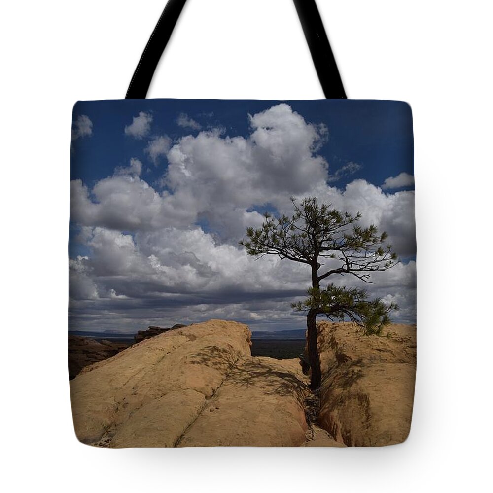 El Malpais Tote Bag featuring the photograph Lonesome by Jim Bennight