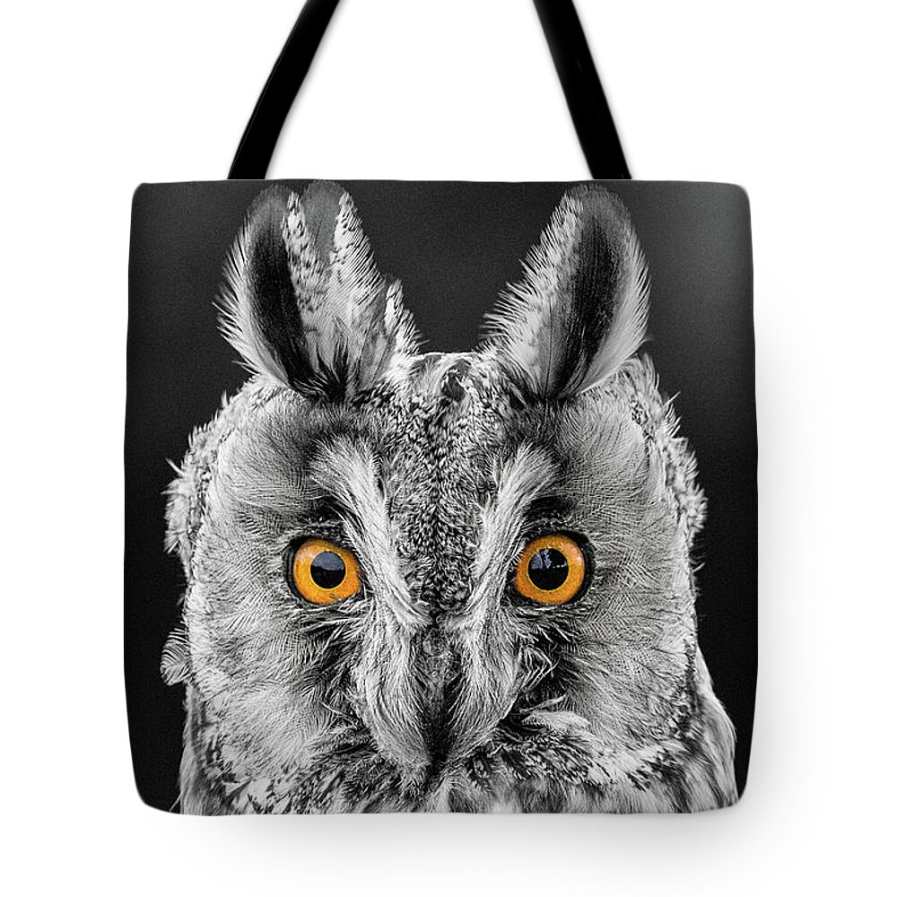 Long Eared Owl Tote Bag featuring the photograph Long Eared Owl 2 by Nigel R Bell