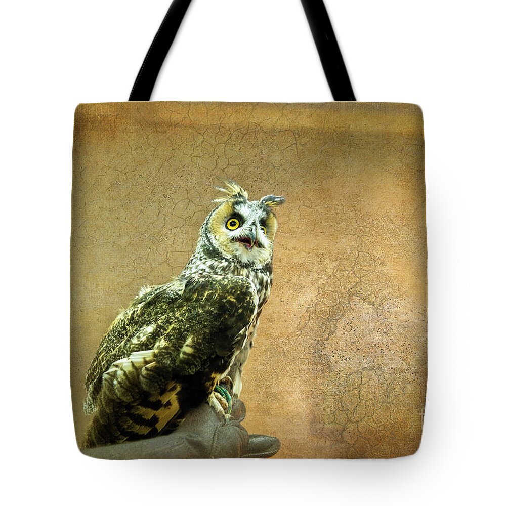 Owl Tote Bag featuring the photograph Long Eared Owl by David Arment