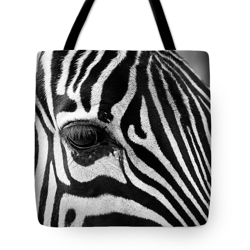 Zebra Tote Bag featuring the photograph Long Eyelashes by Alice Terrill