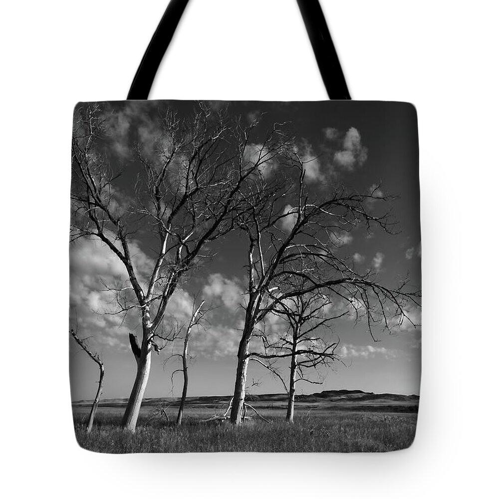 Canada Tote Bag featuring the photograph Long Since Black and White by Allan Van Gasbeck