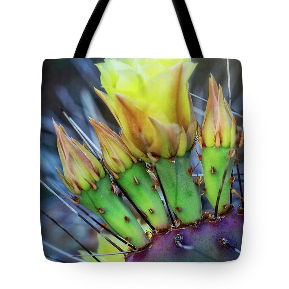 Prickly Pear Cactus Tote Bag featuring the photograph Long Spined Prickly Pear Cactus by Saija Lehtonen