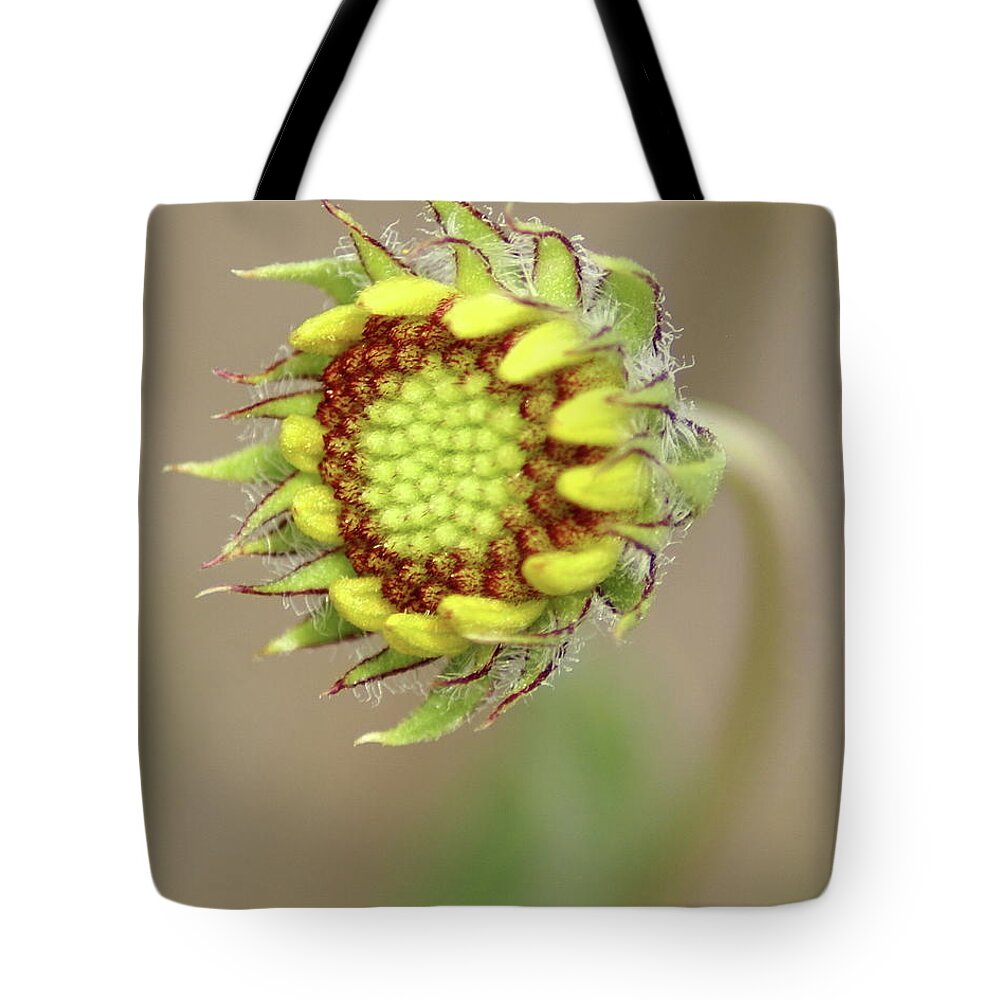Nature Tote Bag featuring the photograph Long Stemmed Beauty by Ben Upham III
