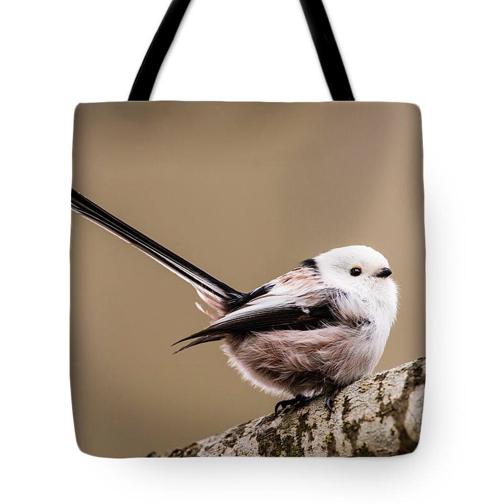 Long-tailed Tit Tote Bag featuring the photograph Long-tailed tit wag the tail by Torbjorn Swenelius