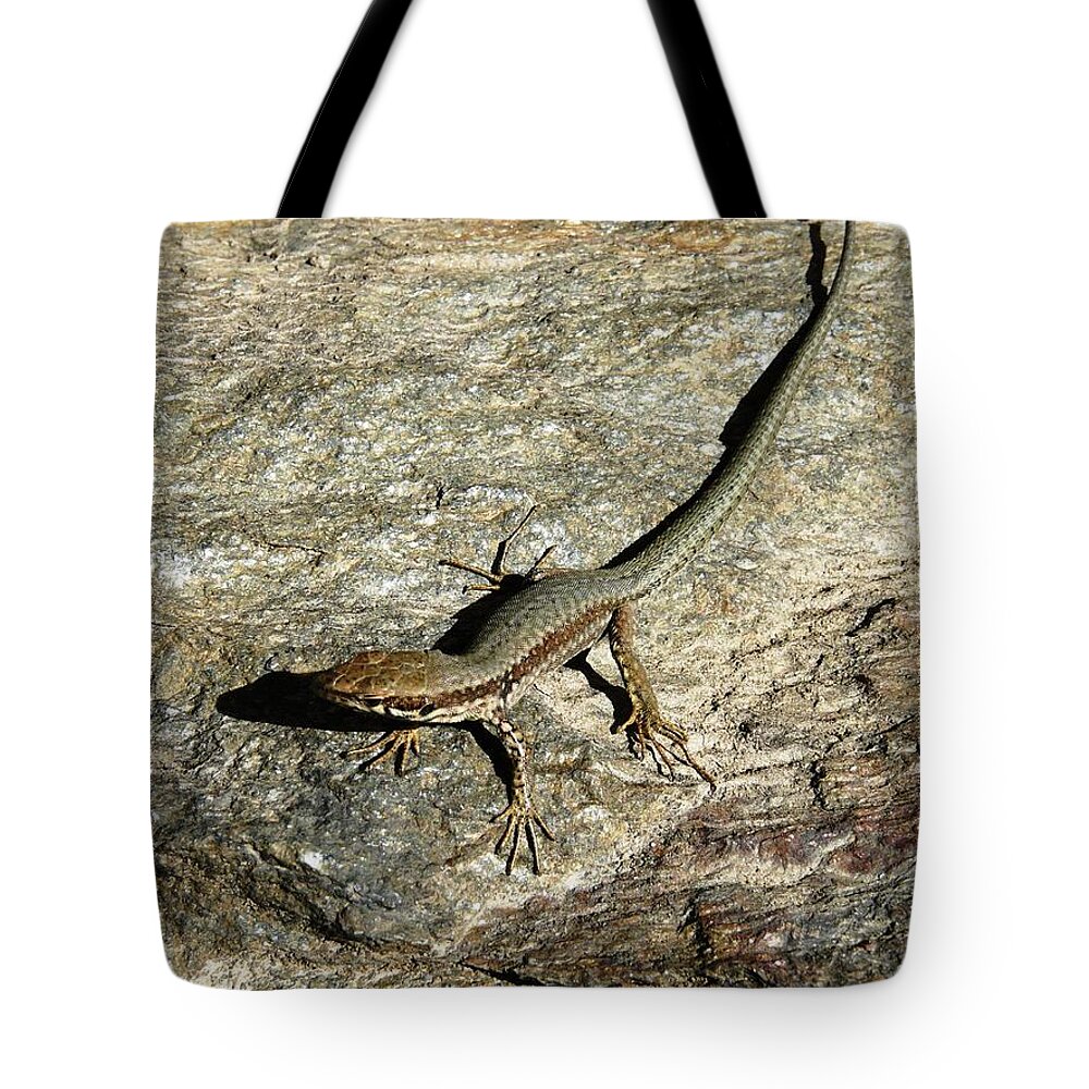 Gecko Tote Bag featuring the photograph Long Toe by Valerie Ornstein