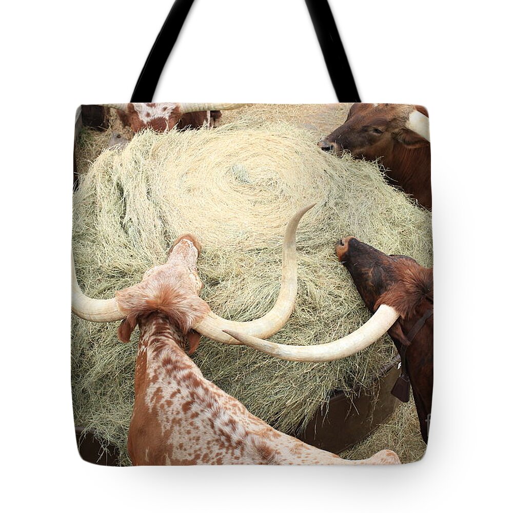 Longhorn Tote Bag featuring the photograph Longhorn Puzzler by Toma Caul