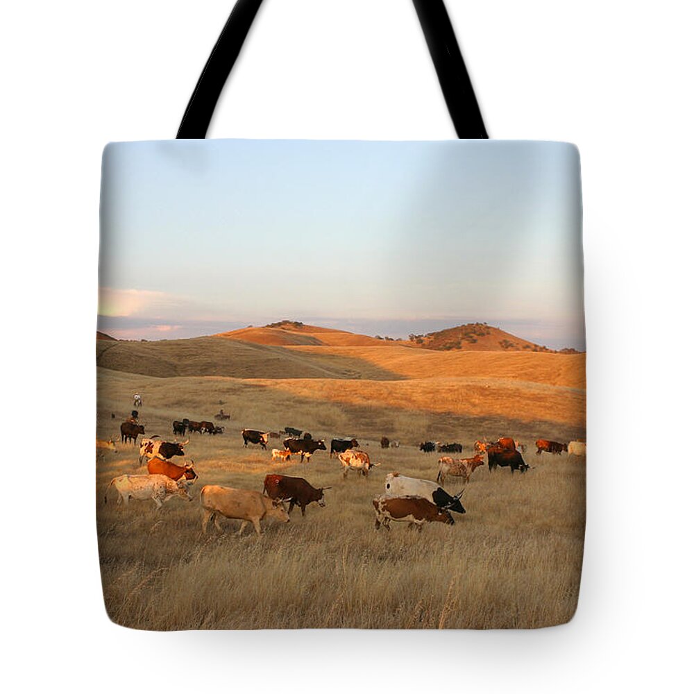 Longhorn Cattle Tote Bag featuring the photograph Longhorns by Diane Bohna