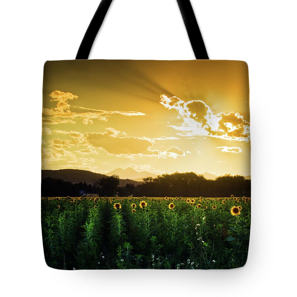Colorado Tote Bag featuring the photograph Longmont Summer Skies 2 by John De Bord