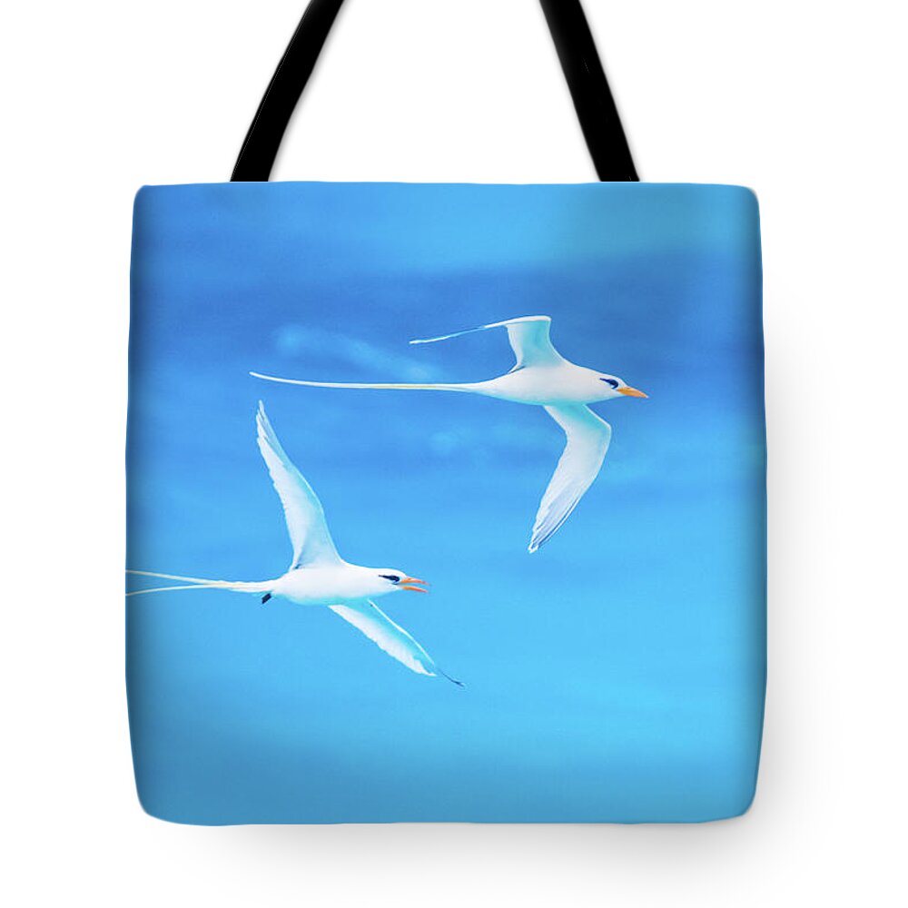 2018 Tote Bag featuring the photograph Longtail Dream Team by Jeff at JSJ Photography