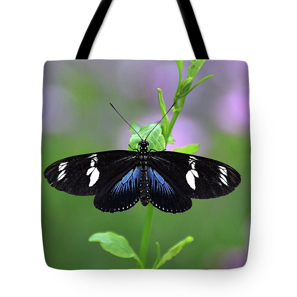 Longwing Butterfly Tote Bag featuring the photograph Longwing5 by Ronda Ryan