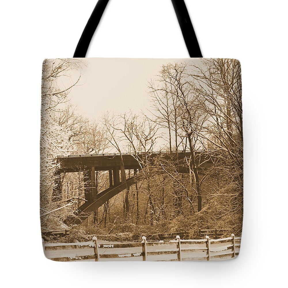  Tote Bag featuring the photograph Looking at Henrey Av. brige by Gerald Kloss