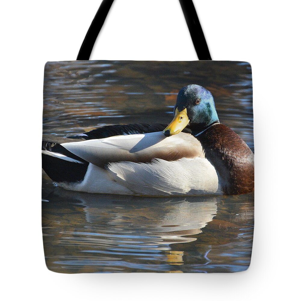 Mallard Tote Bag featuring the photograph Looking back.... by Dan Williams