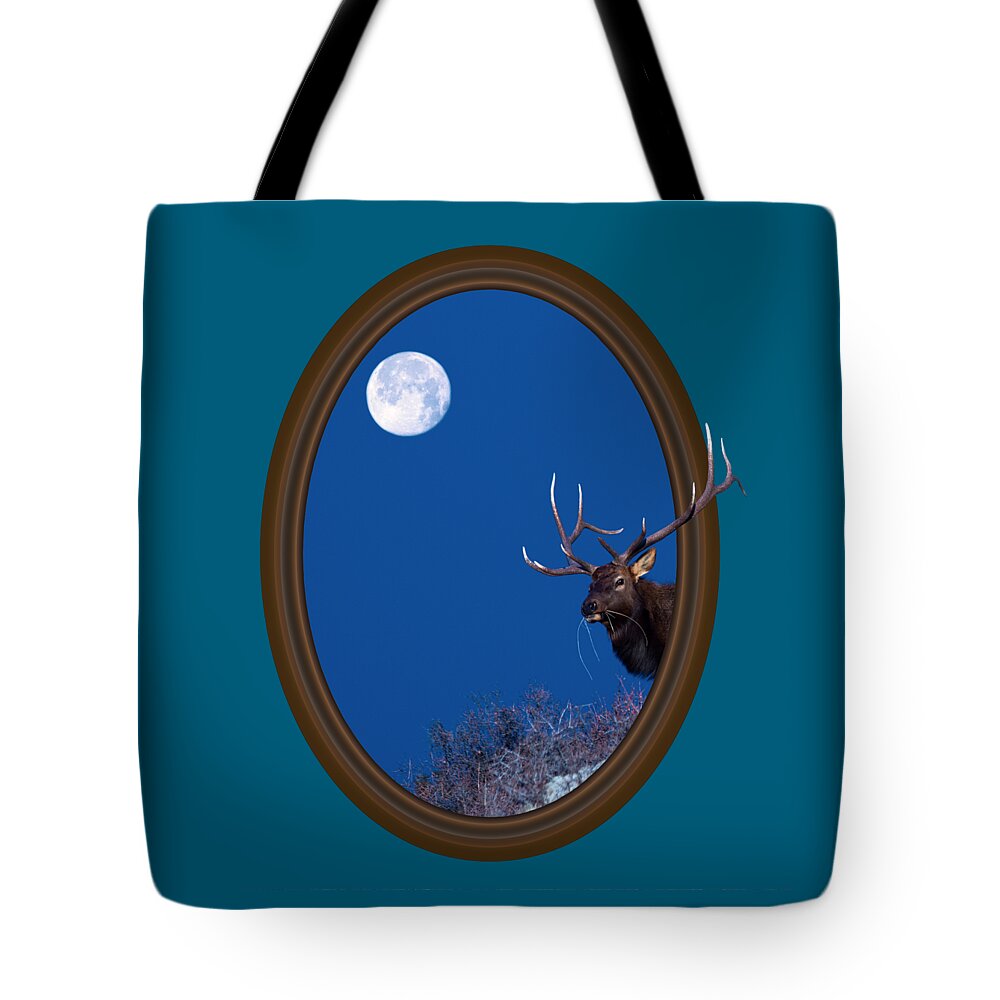 Elk Tote Bag featuring the photograph Looking Beyond by Shane Bechler