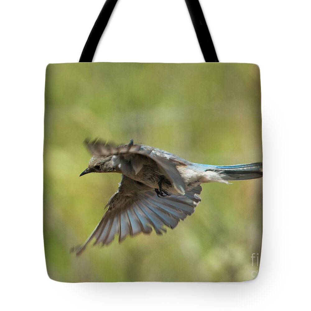 Mountsin Bluebird Tote Bag featuring the photograph Looking Down by Michael Dawson