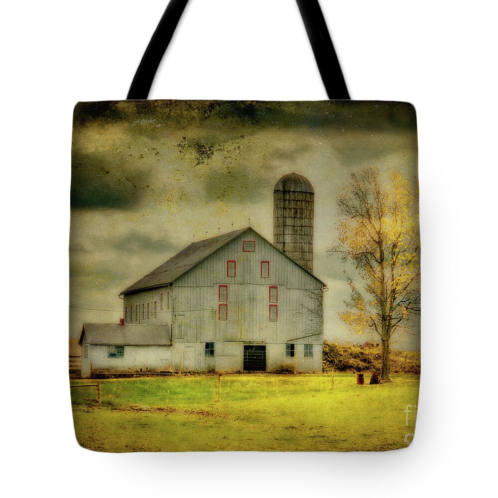 Barns Tote Bag featuring the photograph Looking For Dorothy by Lois Bryan