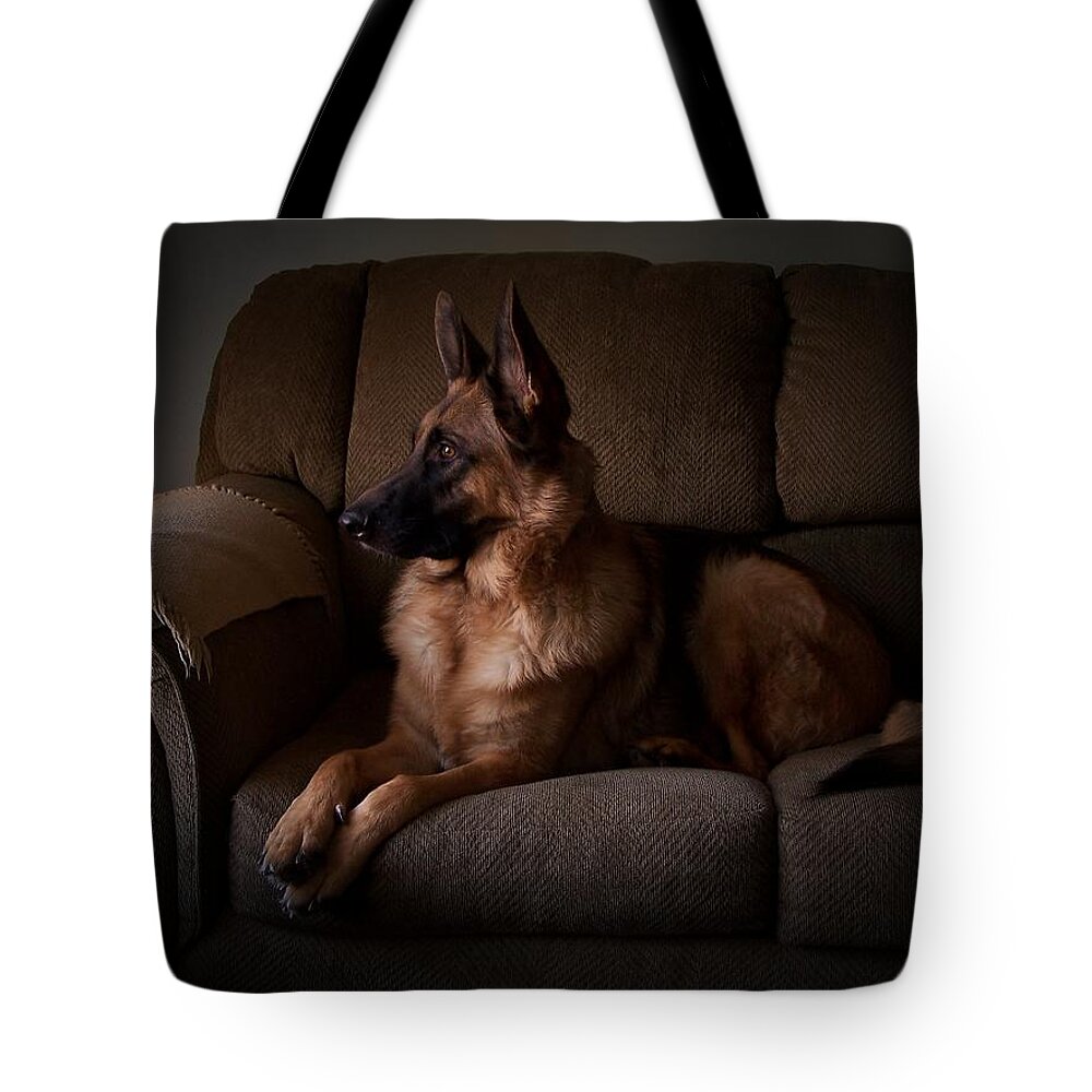German Shepherd Dogs Tote Bag featuring the photograph Looking Out The Window - German Shepherd Dog by Angie Tirado