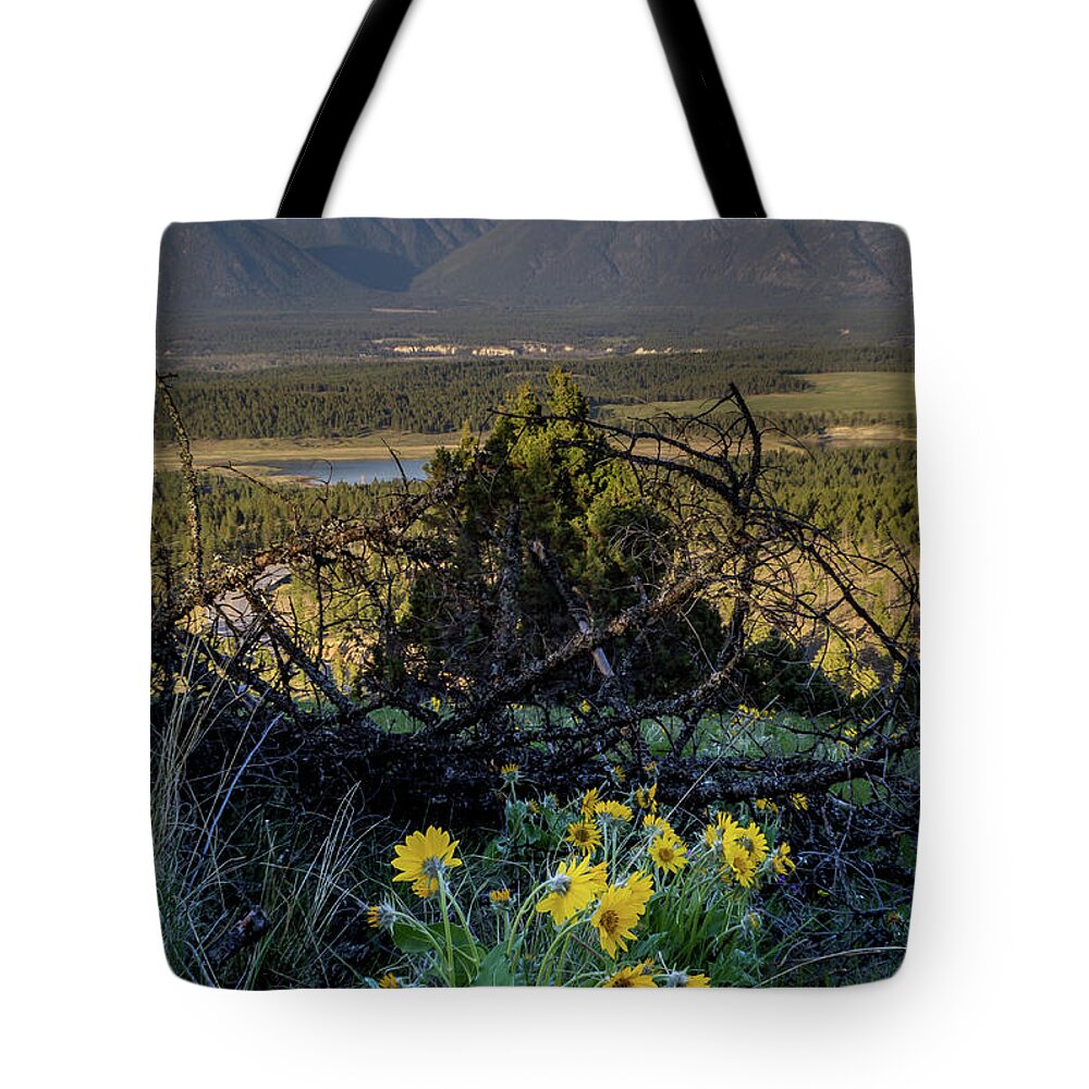 Landscape Tote Bag featuring the photograph Lookout by Thomas Nay