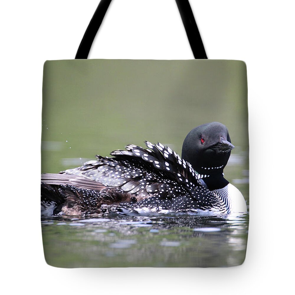 Loon Tote Bag featuring the photograph Loon 2 by Brook Burling