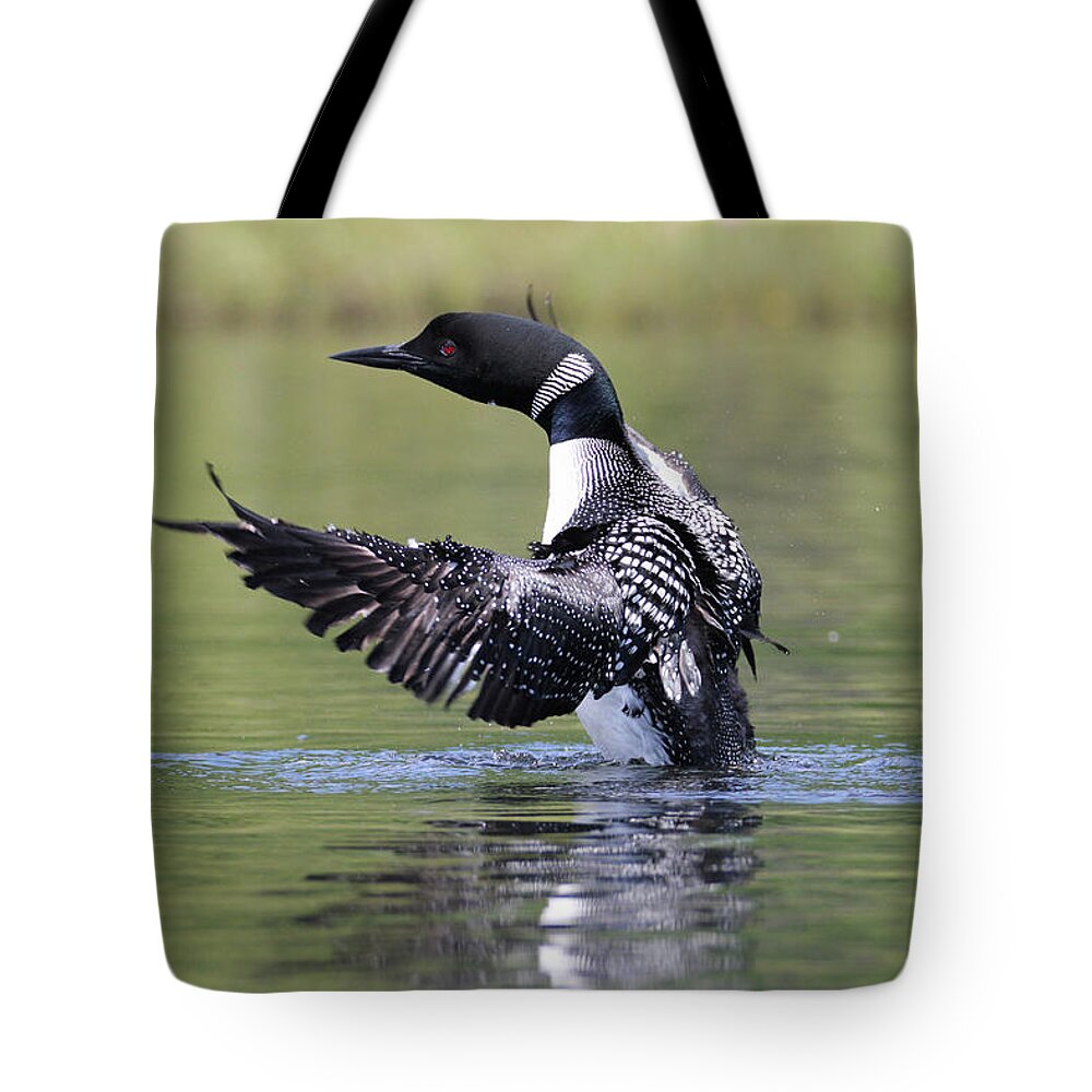 Loon Tote Bag featuring the photograph Loon 5 by Brook Burling