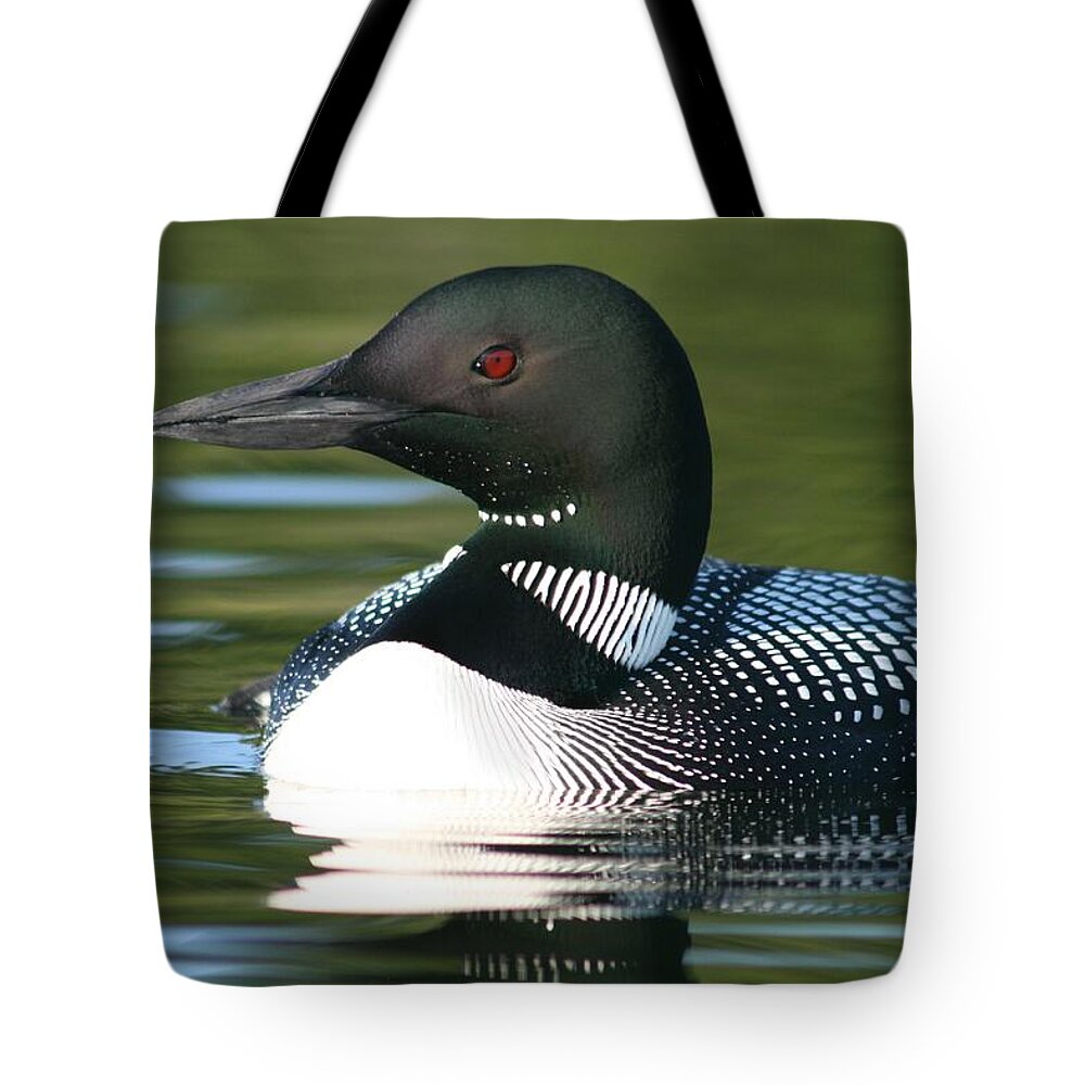 Animal Tote Bag featuring the photograph Loon Close Up by Sandra Huston