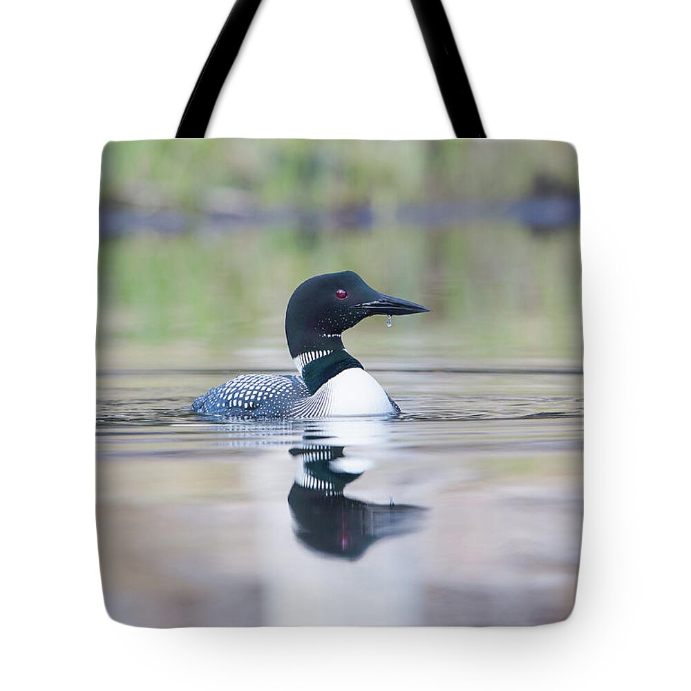 Avian Tote Bag featuring the photograph Loon Water Drop by Robert L Moffat