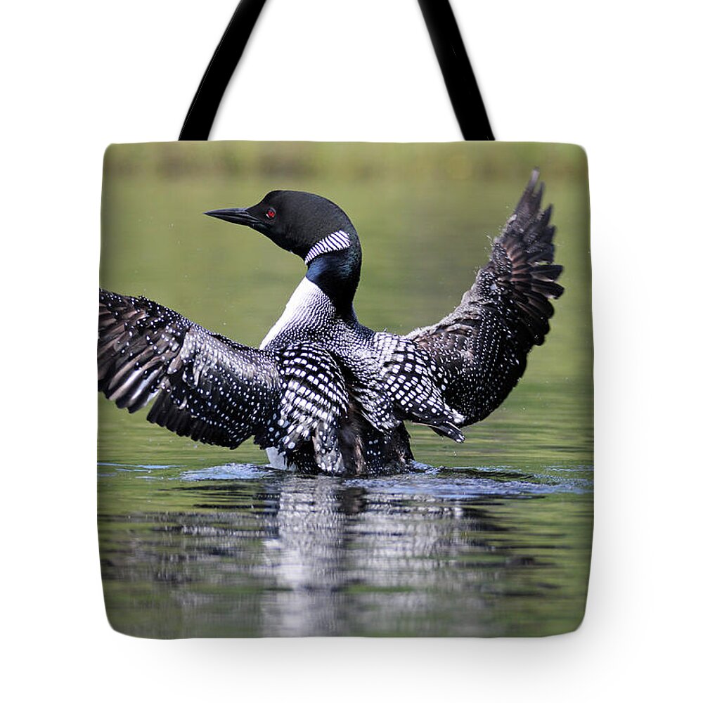 Loon Tote Bag featuring the photograph Loon Wingspan by Brook Burling