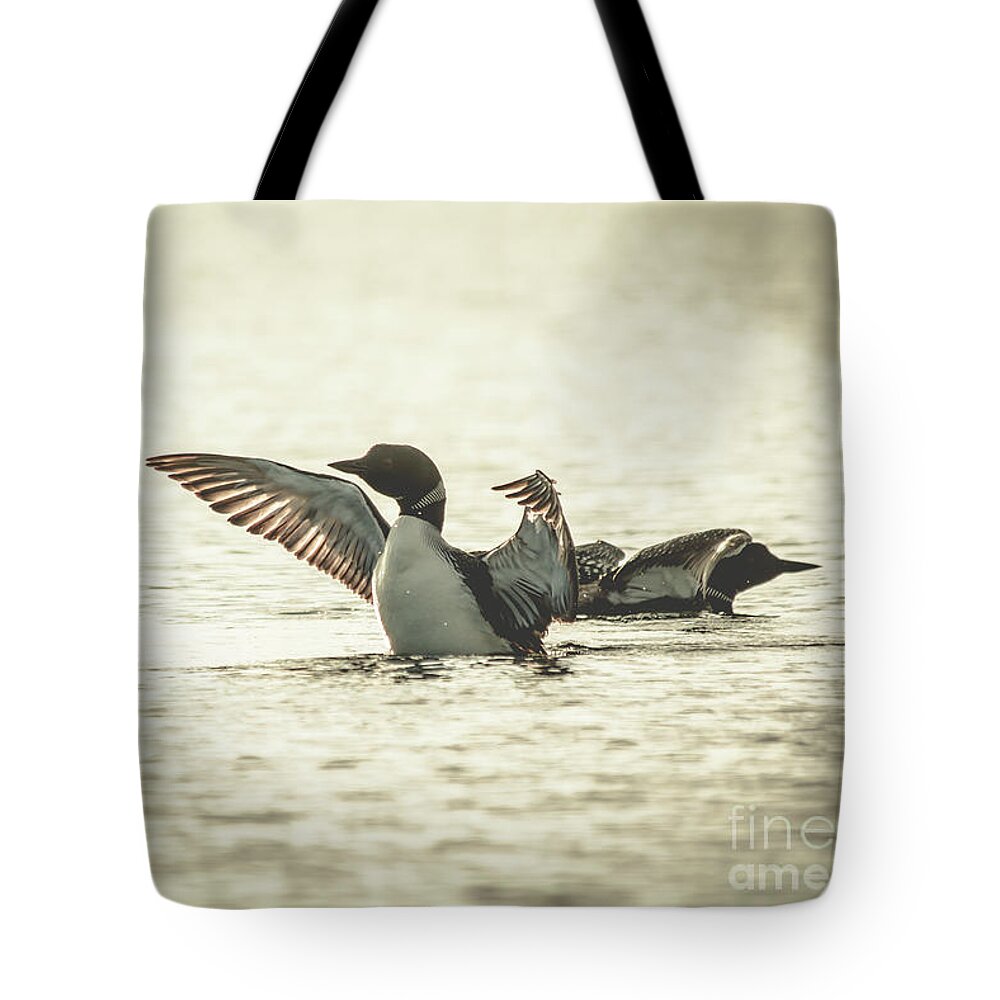 Cheryl Baxter Photography Tote Bag featuring the photograph Loons on the Lake by Cheryl Baxter