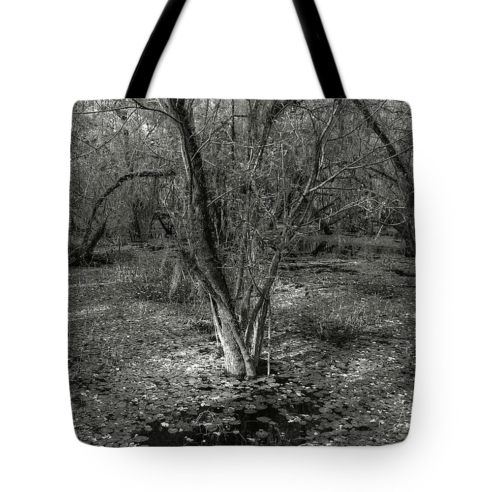  Tote Bag featuring the photograph Loop Road Swamp #3 by Michael Kirk