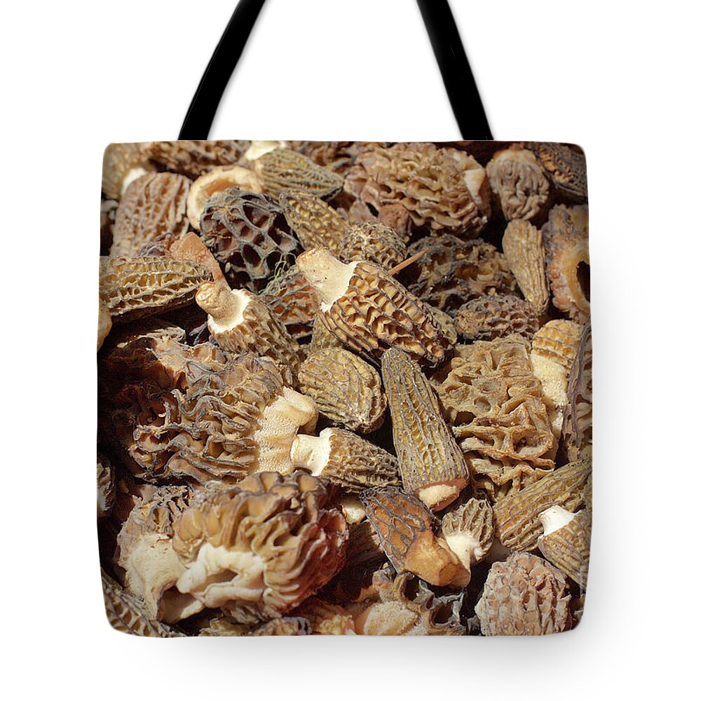 Mushroom Tote Bag featuring the photograph Loose Morels by Bruce Block