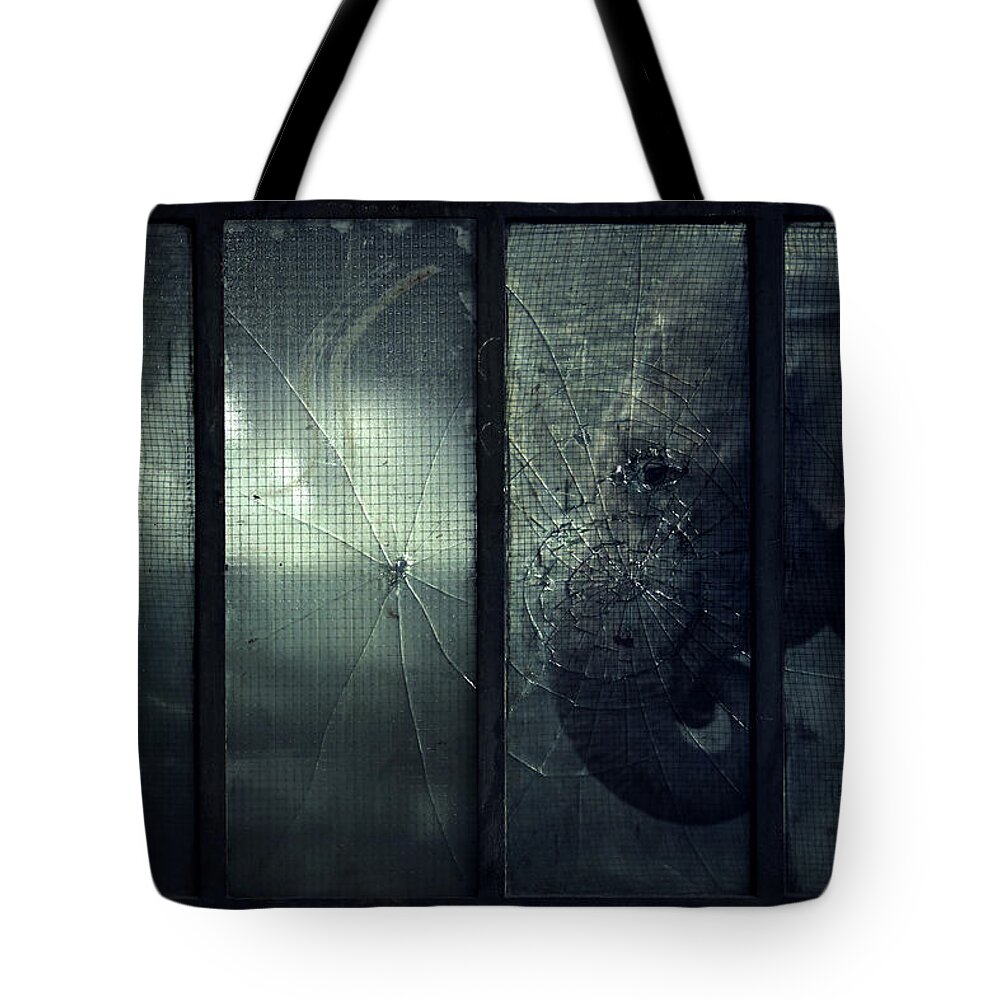 Nature Tote Bag featuring the photograph Lost Animals - Series nr.5 by Zoltan Toth