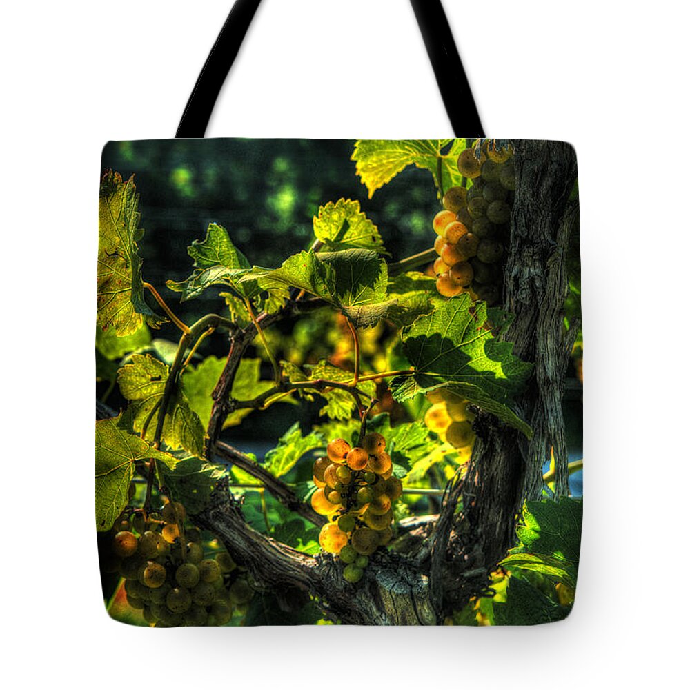 Lost Creek Chardonel Tote Bag featuring the digital art Lost Creek Chardonel by William Fields