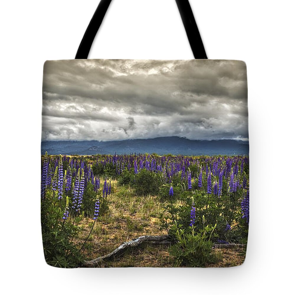 Lost In The Lupine Tote Bag featuring the photograph Lost In The Lupine by Mitch Shindelbower