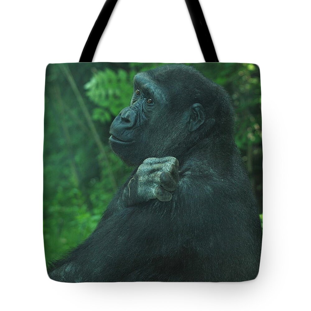 Gorilla Tote Bag featuring the photograph Lost in Thought by Richard Bryce and Family