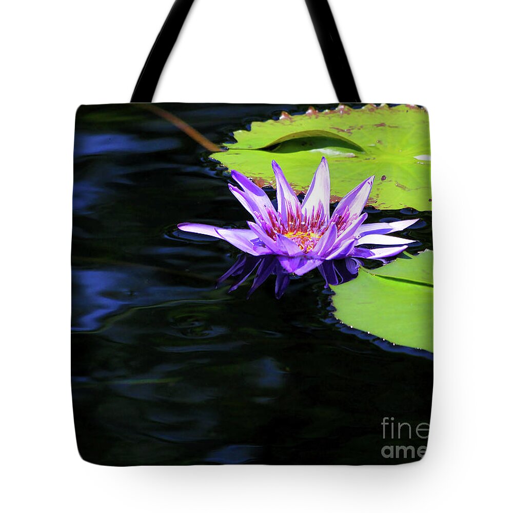 Lotus Tote Bag featuring the photograph Lotus and Dark Water Refection by Paula Guttilla