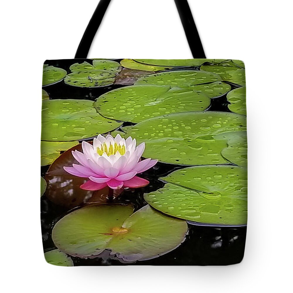 Water Lily Tote Bag featuring the photograph Lotus Blossom by Holly Ross