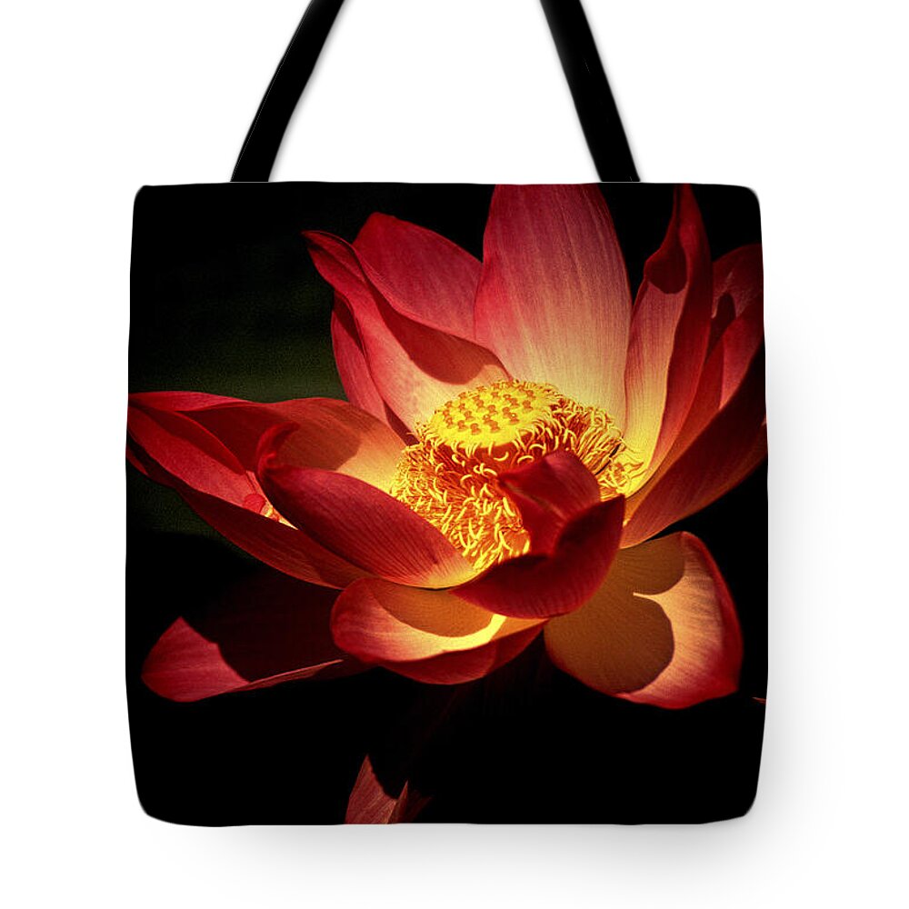 Flowers Tote Bag featuring the photograph Lotus Blossom by Paul W Faust - Impressions of Light