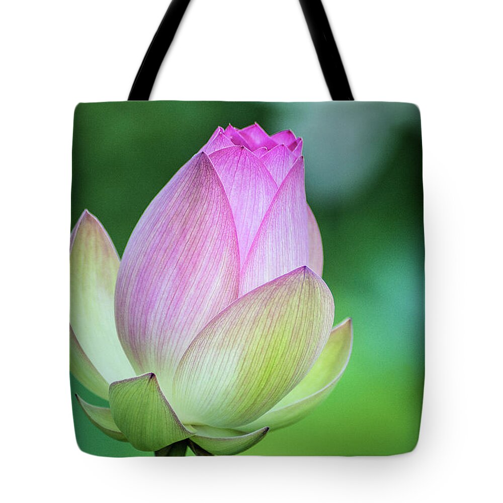Lotus Tote Bag featuring the photograph Lotus Bud by Don Johnson