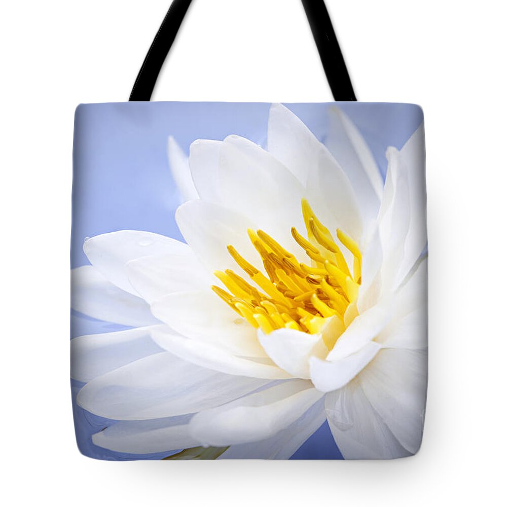 Lotus Tote Bag featuring the photograph Lotus flower 2 by Elena Elisseeva